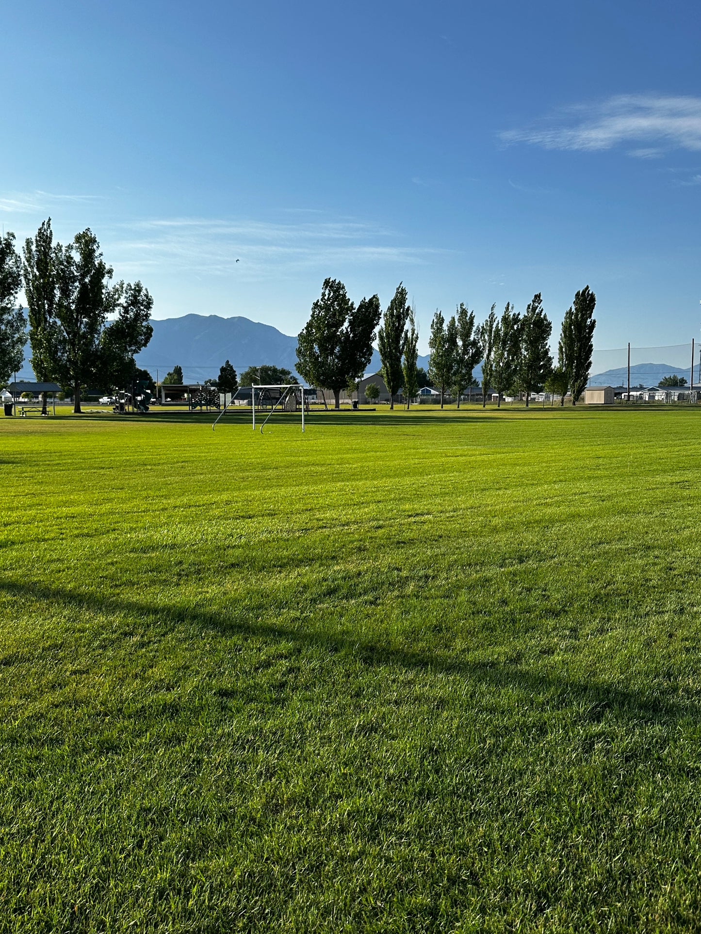 Athletic turf mix growing in park in Utah