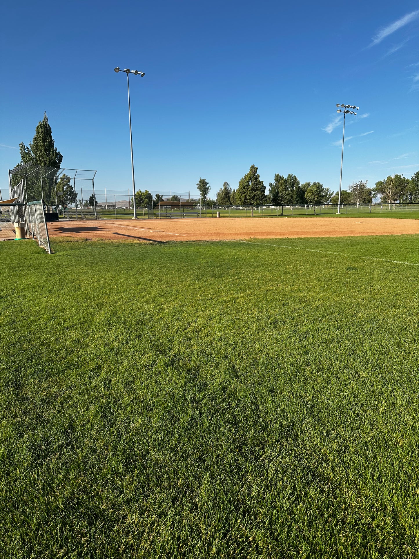 Athletic turf mix growing in park in Utah