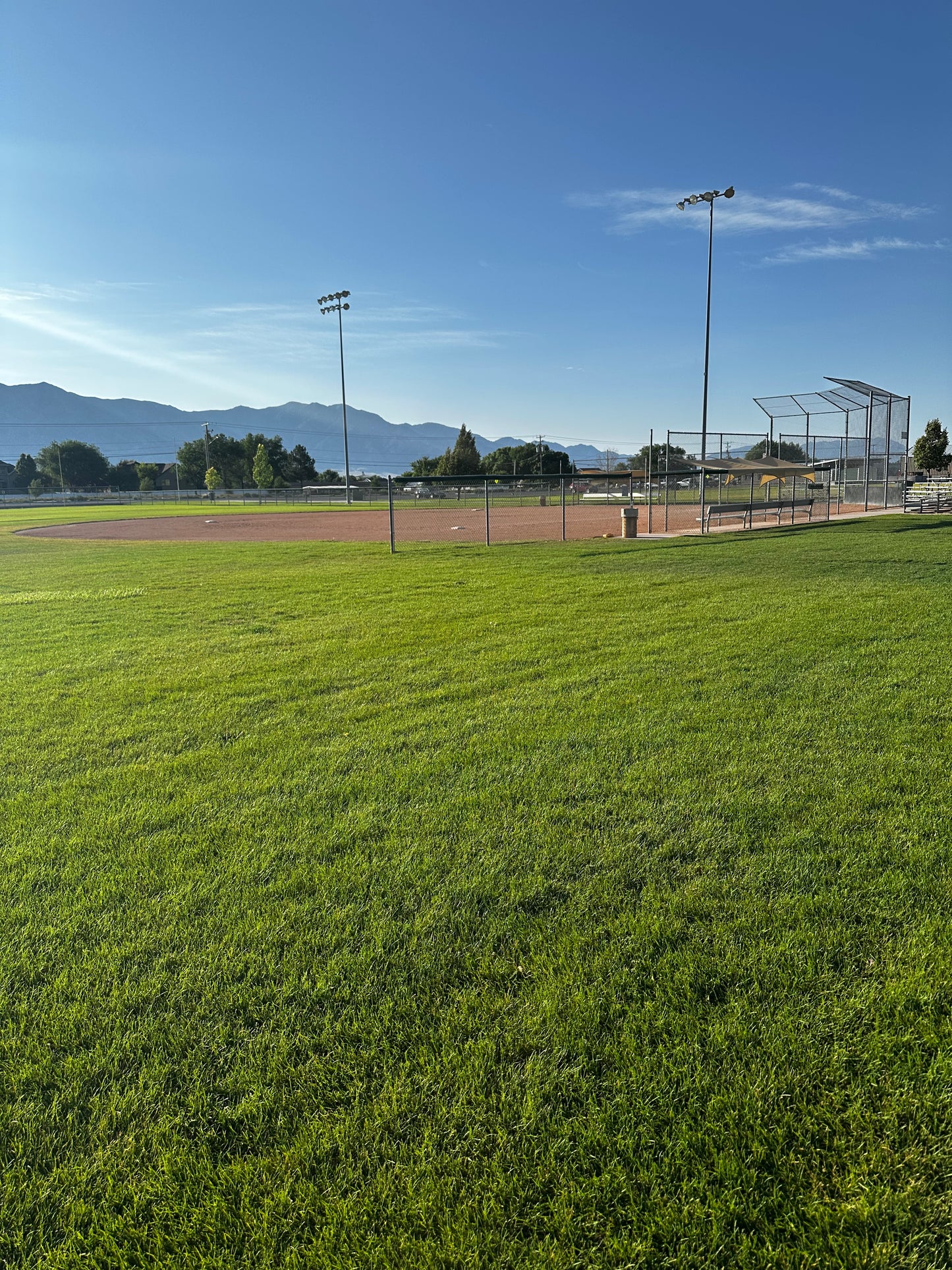 Athletic turf mix growing in park in Utah